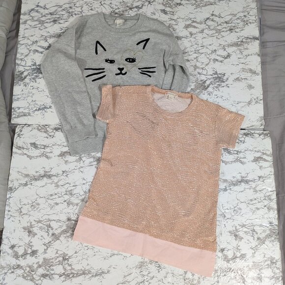 Crewcuts Other - CREWCUTS Girls Sweater and T Shirt Set